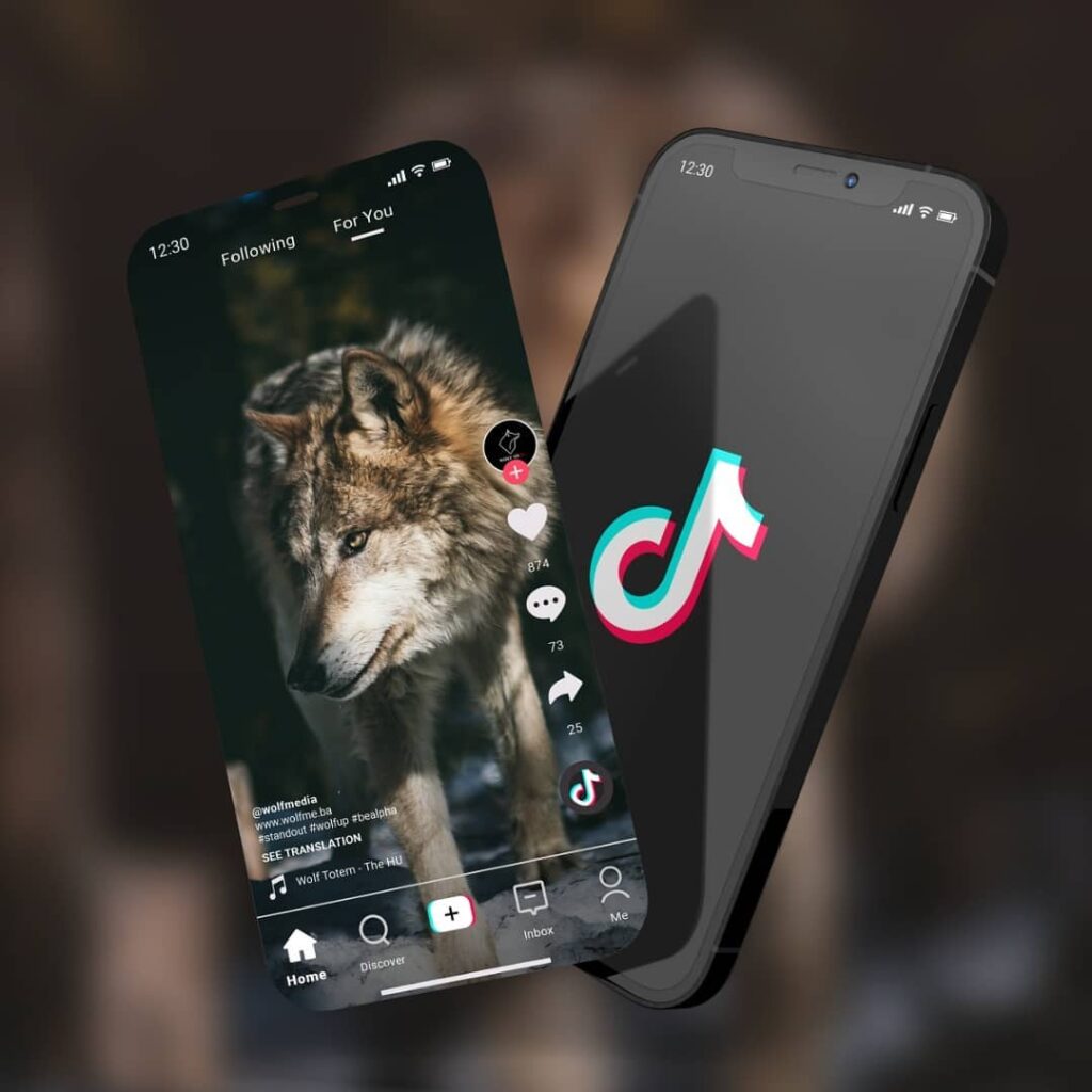 WolfMedia TikTok