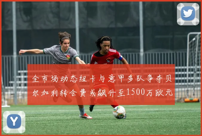 全市场动态纽卡与意甲多队争夺贝尔加利转会费或飙升至1500万欧元