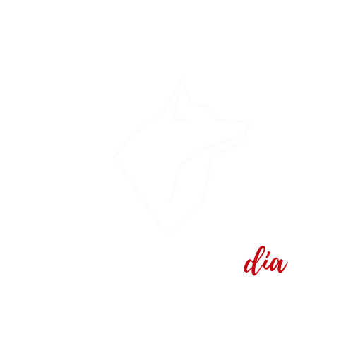 Wolf Media logo